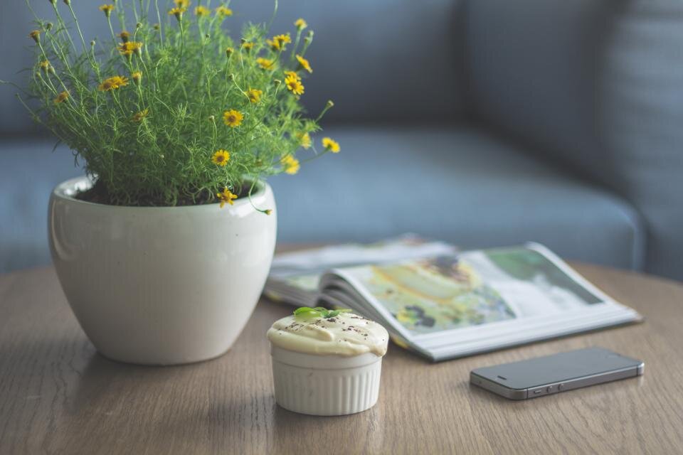 Drooping green houseplant in a pot with damp soil